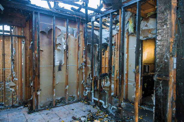 Professional Fire Damage Removal technician working in Watkins, MN