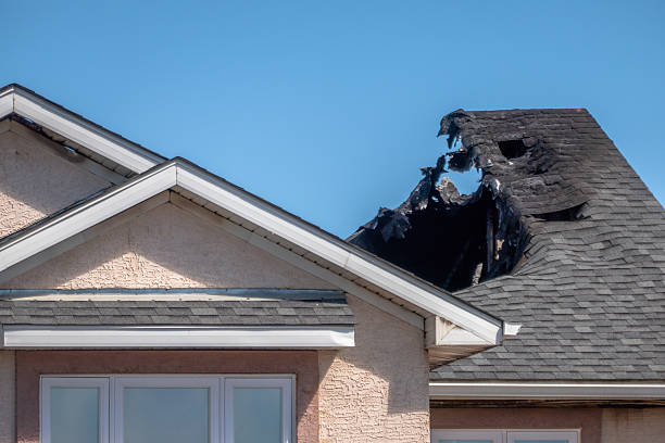 Top rated local Fire Damage Removal specialists in Watkins, MN